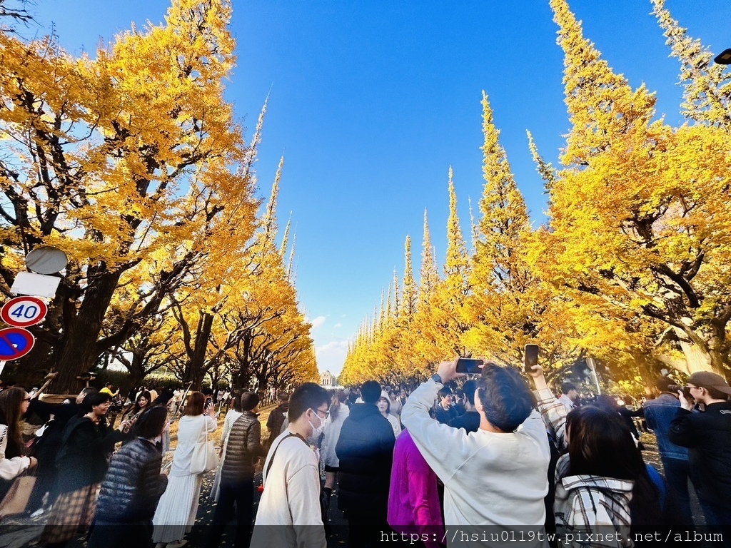 「杏」福時光Day4-各在其位，各展所能