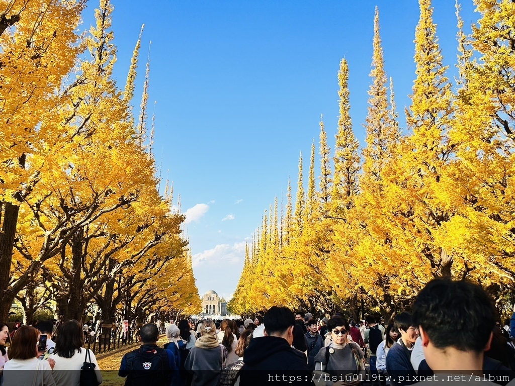 「杏」福時光Day4-各在其位，各展所能