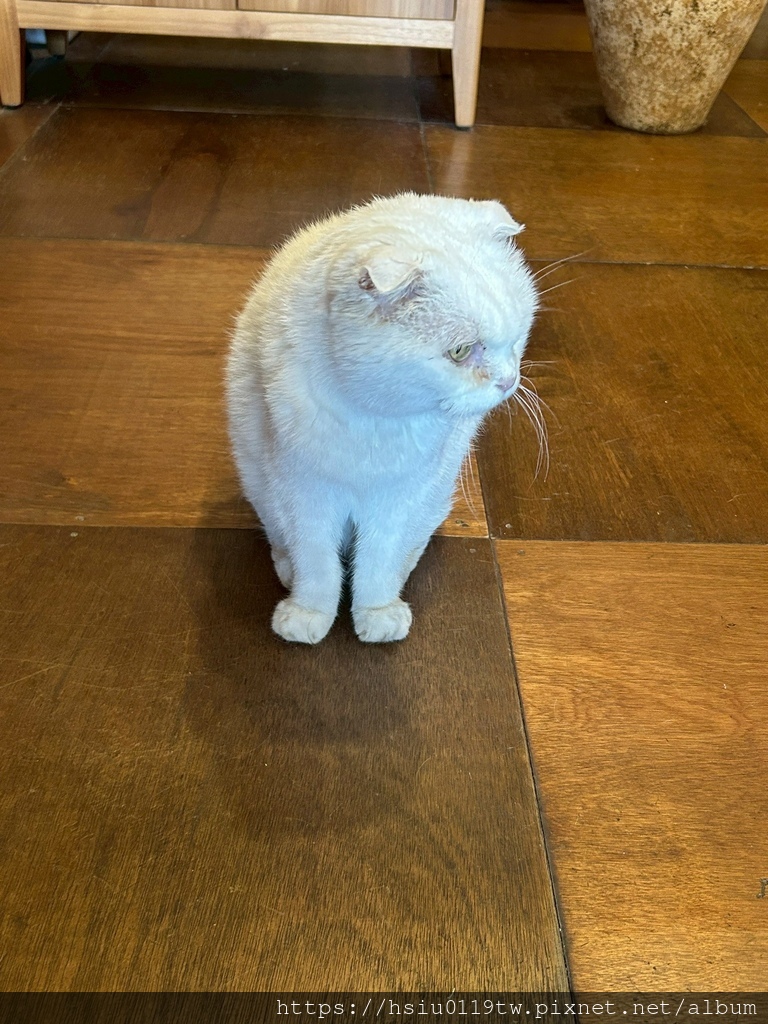 池上踏青尋青春 池上踏青尋青春