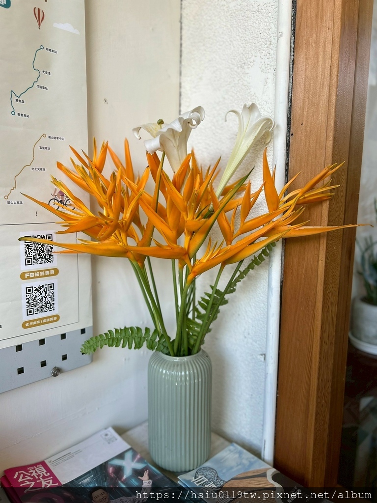 池上踏青尋青春 池上踏青尋青春