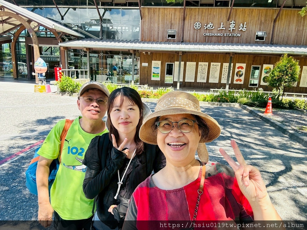 池上踏青尋青春 池上踏青尋青春