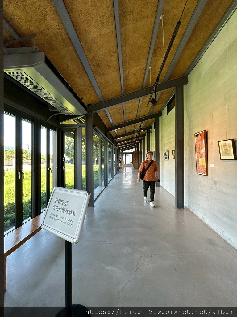 池上踏青尋青春