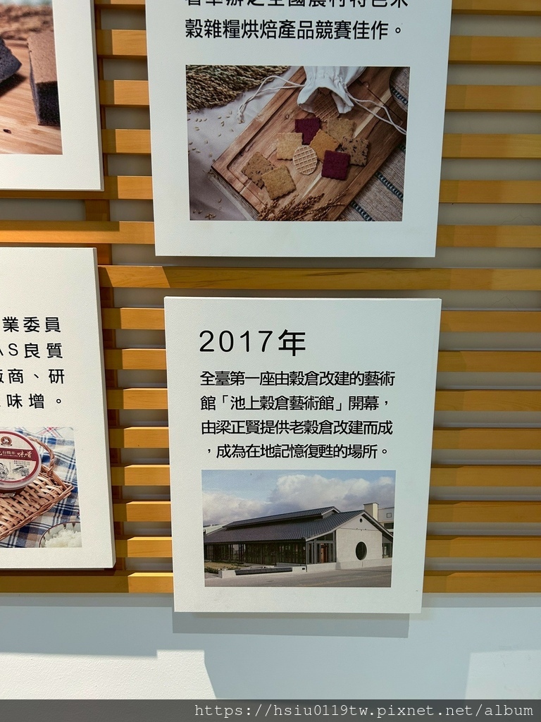 池上踏青尋青春 池上踏青尋青春