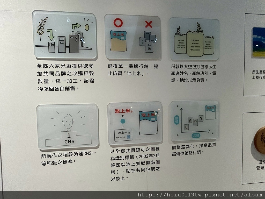 池上踏青尋青春 池上踏青尋青春