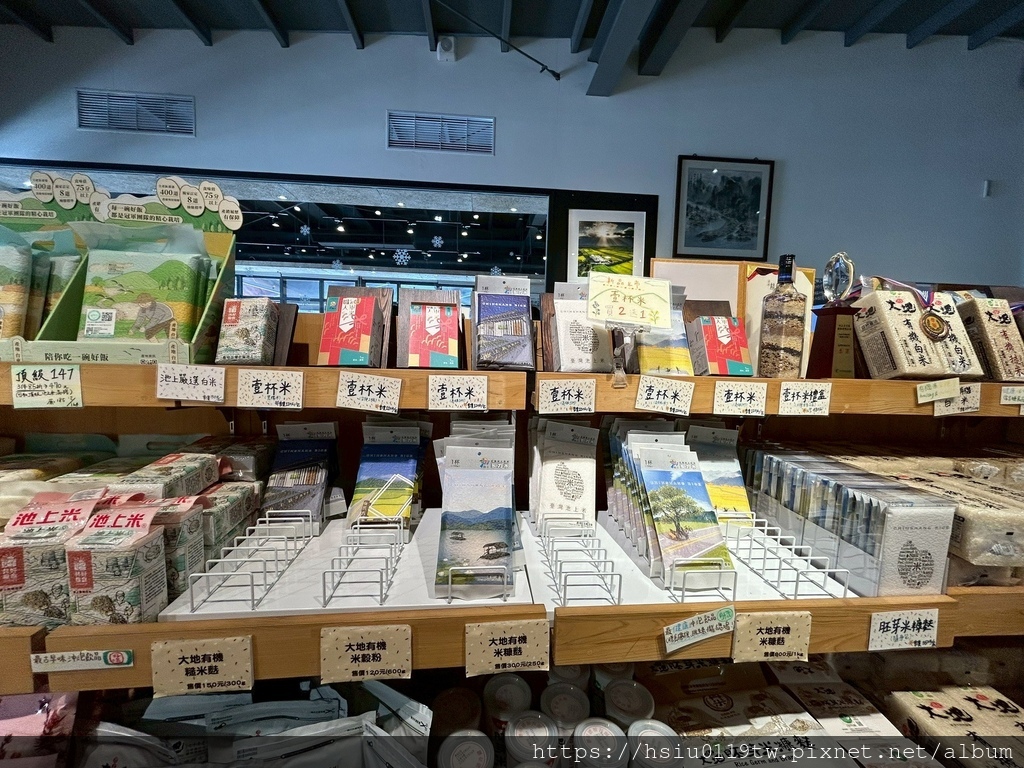 池上踏青尋青春 池上踏青尋青春