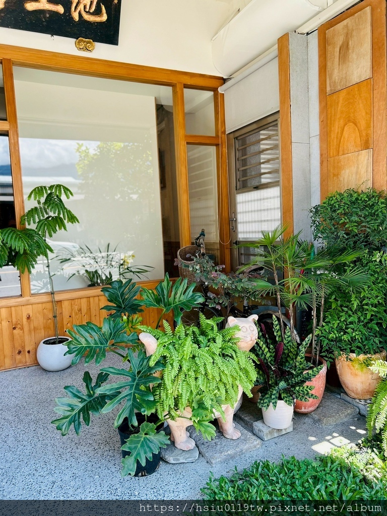 池上踏青尋青春 池上踏青尋青春