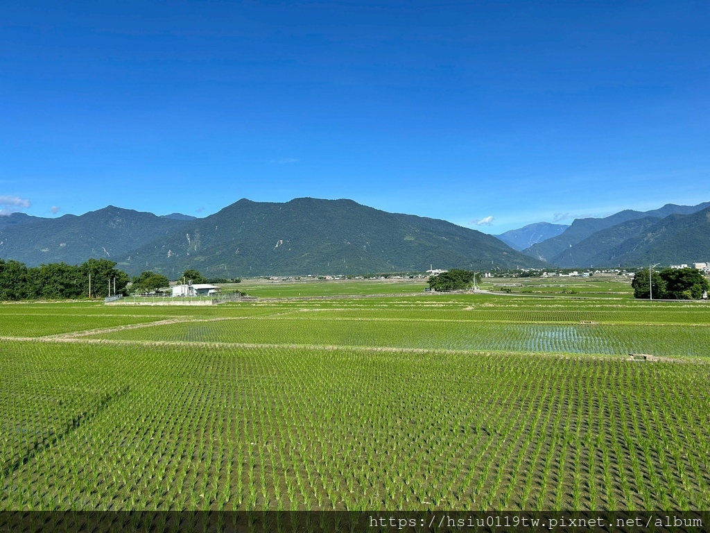 露野台上爬高高看熱氣球 露野台上爬高高看熱氣球
