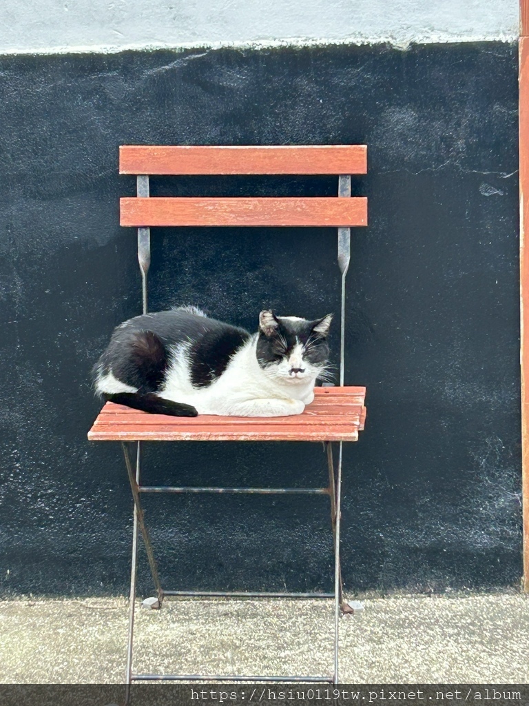 LINE_ALBUM_20251011男木島女木島_251027_12.jpg LINE_ALBUM_20251011男木島女木島_251027_12.jpg