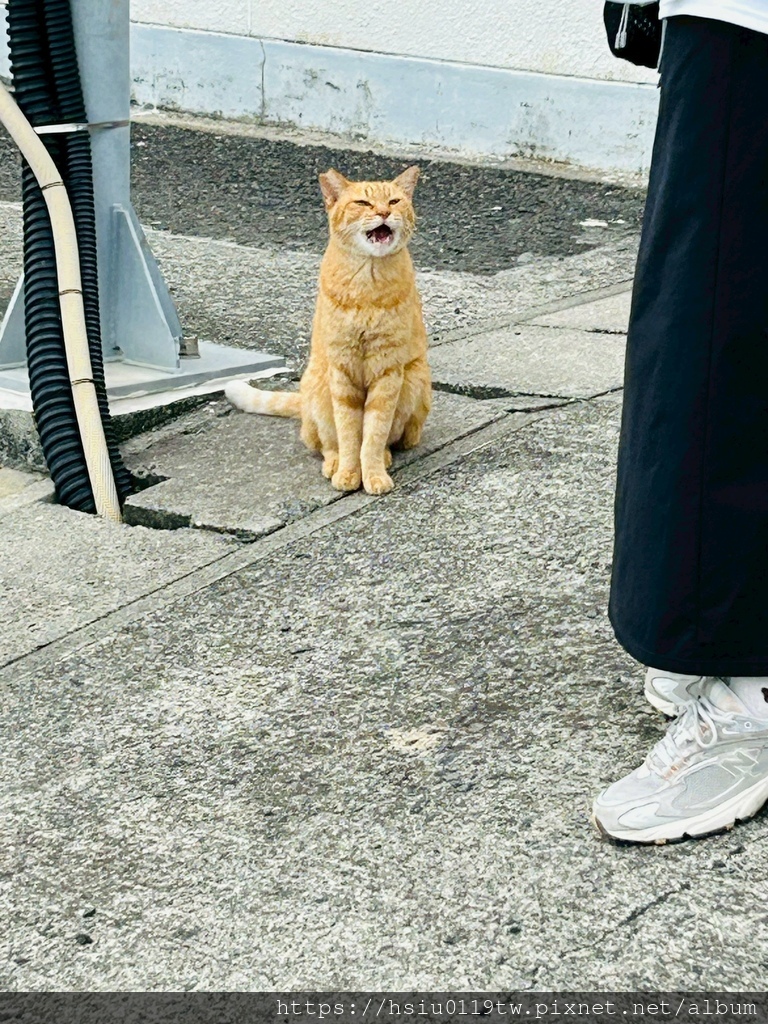 LINE_ALBUM_20251011男木島女木島_251027_25.jpg LINE_ALBUM_20251011男木島女木島_251027_25.jpg