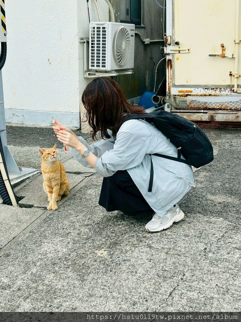 LINE_ALBUM_20251011男木島女木島_251027_26.jpg LINE_ALBUM_20251011男木島女木島_251027_26.jpg