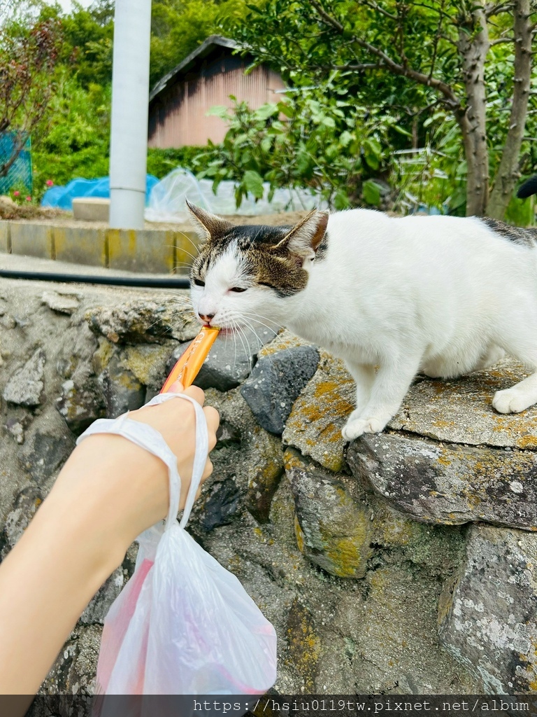 LINE_ALBUM_20251011男木島女木島_251027_32.jpg LINE_ALBUM_20251011男木島女木島_251027_32.jpg