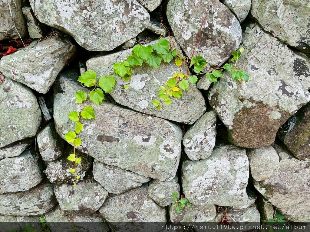 LINE_ALBUM_20251011男木島女木島_251027_88.jpg LINE_ALBUM_20251011男木島女木島_251027_88.jpg