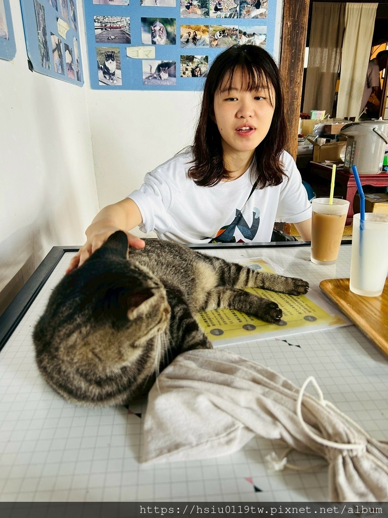 LINE_ALBUM_20251011男木島女木島_251027_91.jpg LINE_ALBUM_20251011男木島女木島_251027_91.jpg