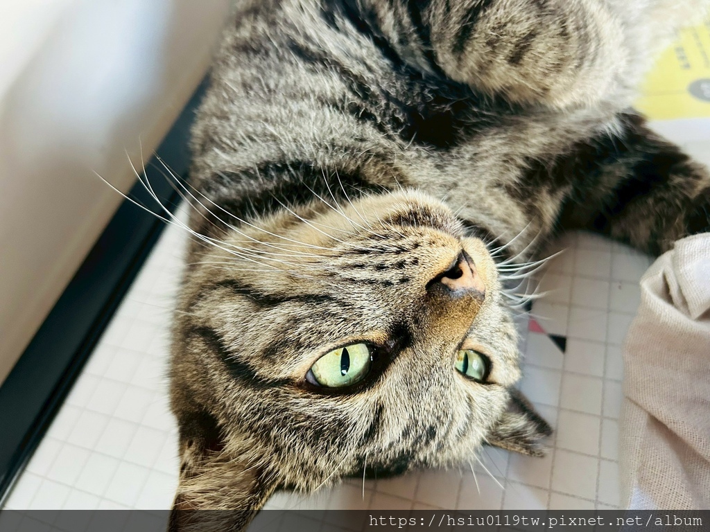 LINE_ALBUM_20251011男木島女木島_251027_92.jpg LINE_ALBUM_20251011男木島女木島_251027_92.jpg