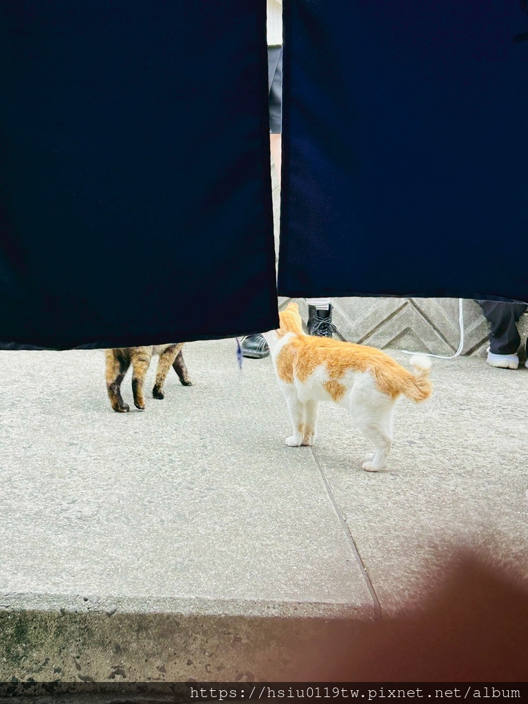 LINE_ALBUM_20251011男木島女木島_251027_102.jpg LINE_ALBUM_20251011男木島女木島_251027_102.jpg