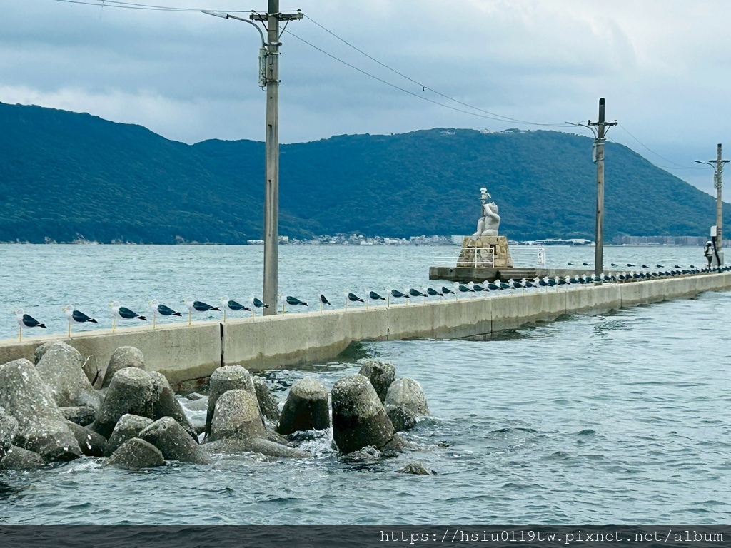 LINE_ALBUM_20251011男木島女木島_251027_145.jpg LINE_ALBUM_20251011男木島女木島_251027_145.jpg