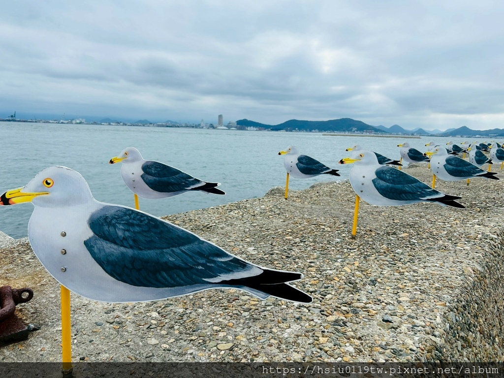 LINE_ALBUM_20251011男木島女木島_251027_144.jpg LINE_ALBUM_20251011男木島女木島_251027_144.jpg
