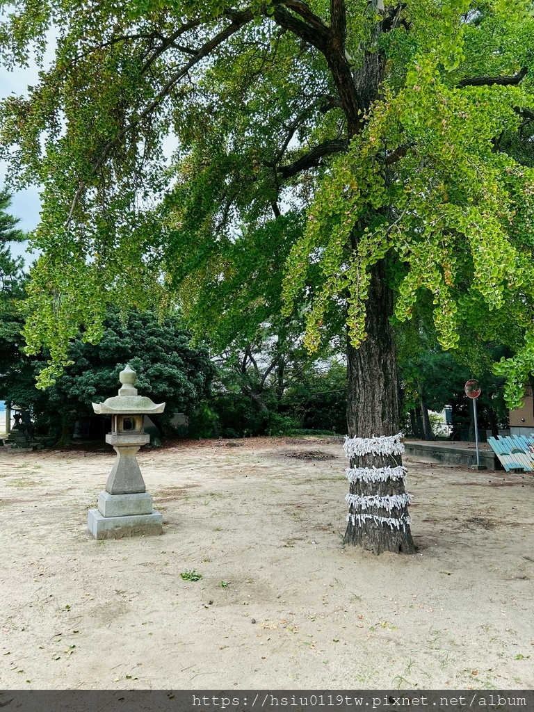 LINE_ALBUM_20251011男木島女木島_251027_161.jpg LINE_ALBUM_20251011男木島女木島_251027_161.jpg