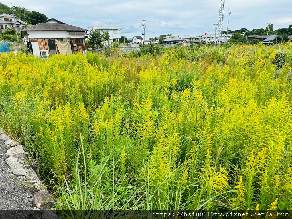 LINE_ALBUM_20251011男木島女木島_251027_173.jpg LINE_ALBUM_20251011男木島女木島_251027_173.jpg