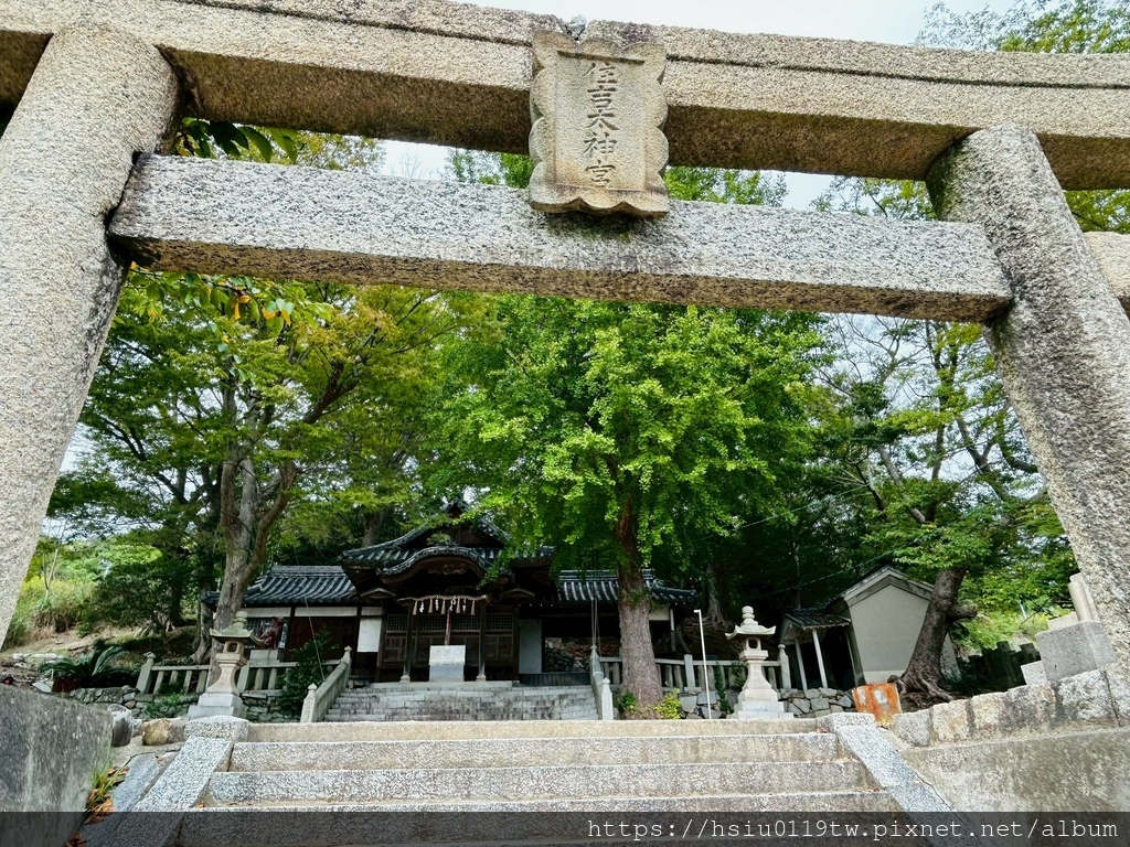 LINE_ALBUM_20251011男木島女木島_251027_175.jpg LINE_ALBUM_20251011男木島女木島_251027_175.jpg