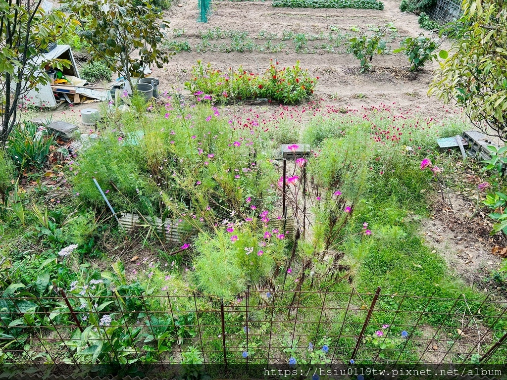 LINE_ALBUM_20251011男木島女木島_251027_178.jpg LINE_ALBUM_20251011男木島女木島_251027_178.jpg