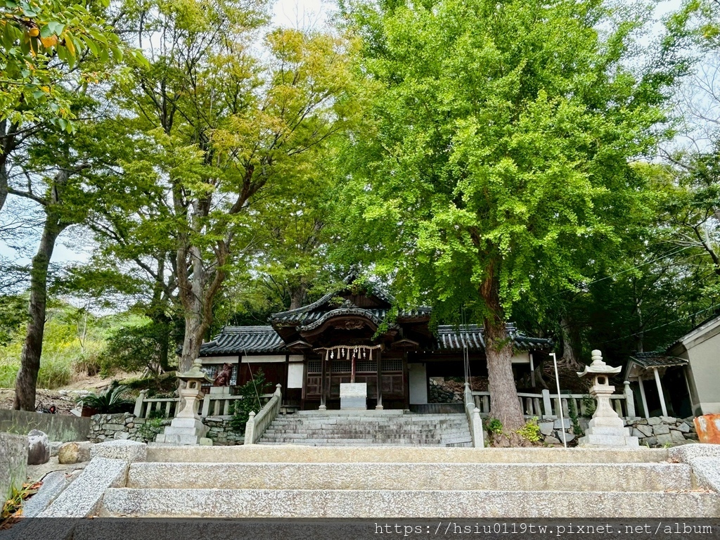 LINE_ALBUM_20251011男木島女木島_251027_176.jpg LINE_ALBUM_20251011男木島女木島_251027_176.jpg