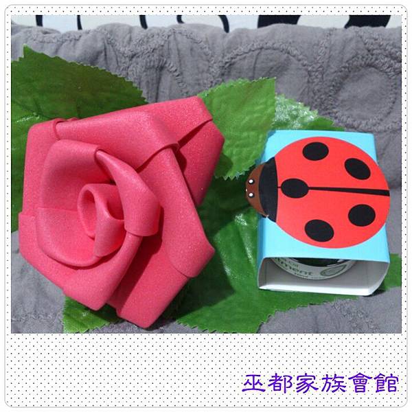 PhotoGrid_1434719383135.jpg 試用