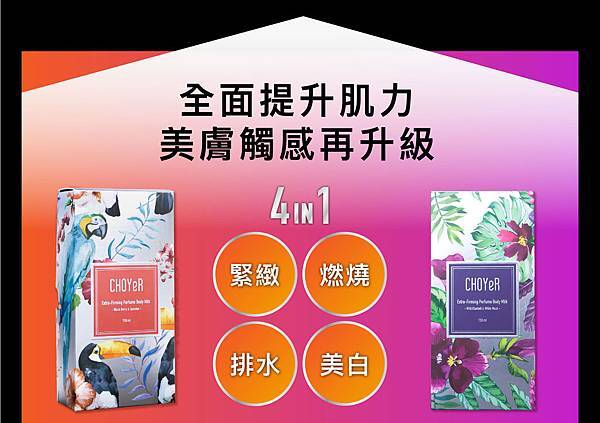 choyer201612_13 試用