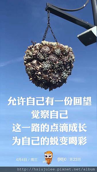 8344DA4B-40C5-4723-AC95-15C06DE67C1C.jpeg 8344DA4B-40C5-4723-AC95-15C06DE67C1C.jpeg