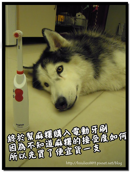 DSCN5470.JPG DSCN5470.JPG