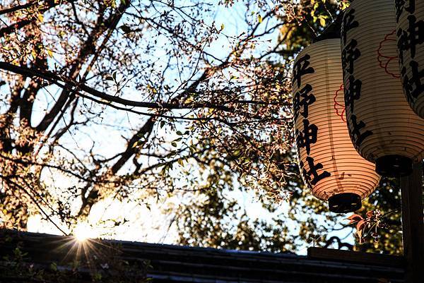 DAY 3 平野神社 (2).jpg