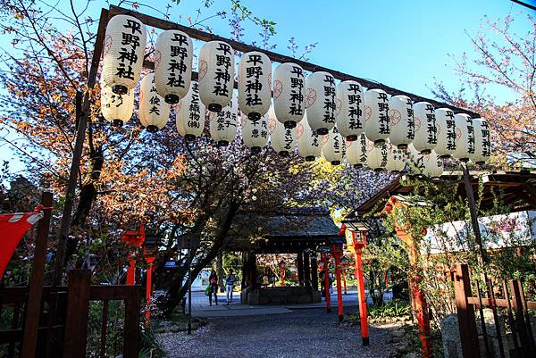 DAY 3 平野神社 (1).jpg