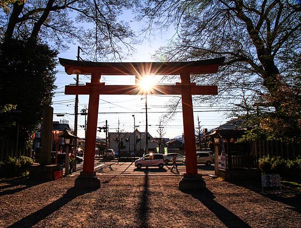 DAY 3 平野神社 (3).jpg