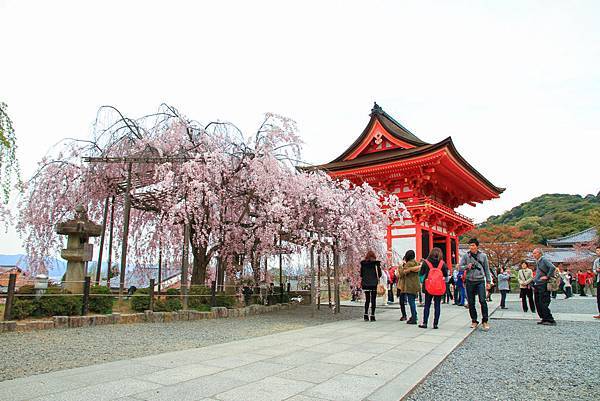 DAY2 清水寺 (3).jpg