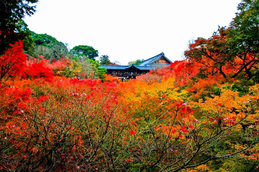 東福寺 (7).jpg