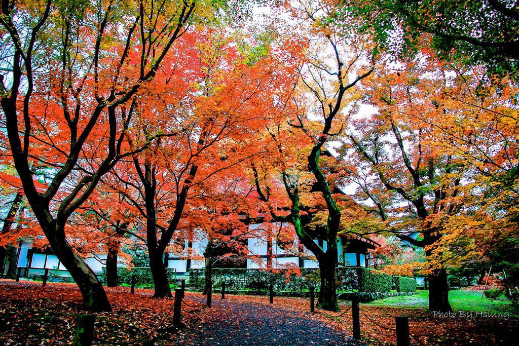 東福寺 (32).jpg