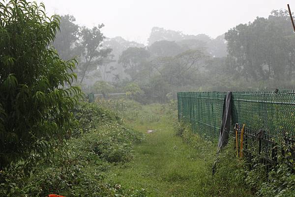 雨中的木溪