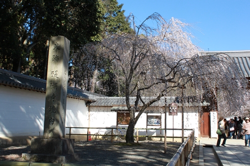 醍醐寺