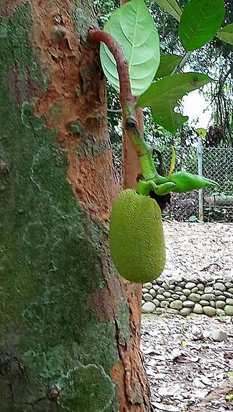 DSC_0610.JPG DSC_0610.JPG