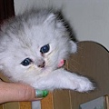 DSCN1284