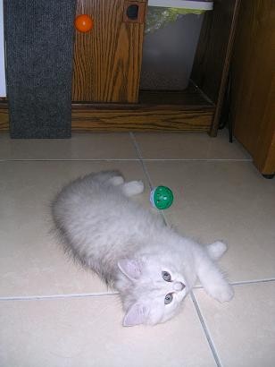 DSCN1343