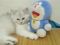 DSCN1369