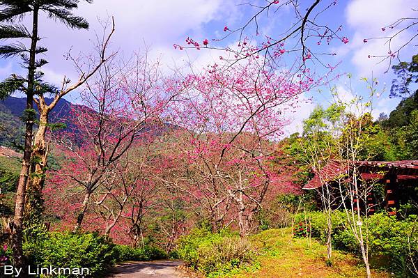 _DSC1003-p_調整大小