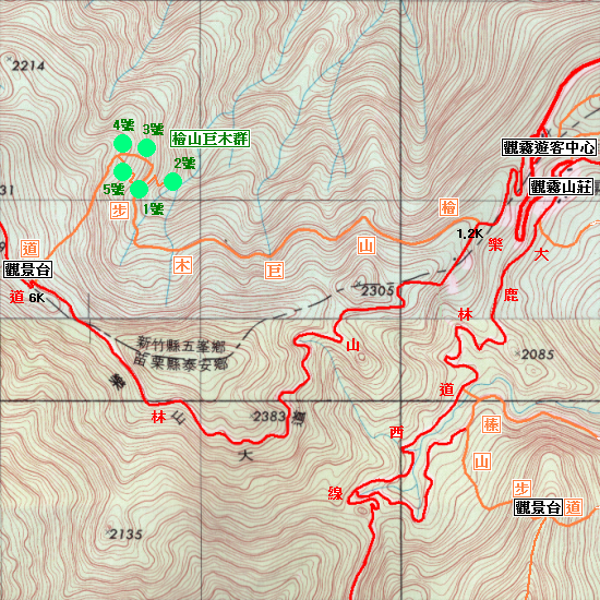 觀霧 檜山巨木群.jpg
