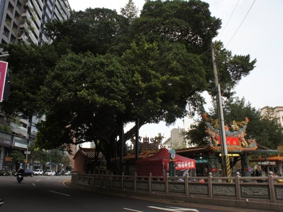 北屯 福德廟 正榕.jpg