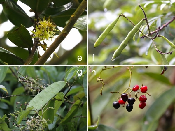 冬雨訪 基隆 情人湖.jpg