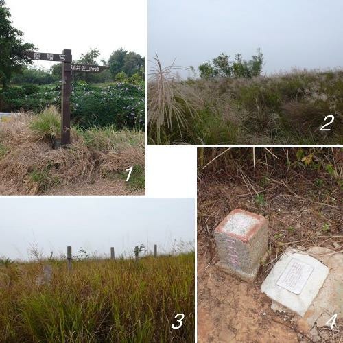 台中．龍井 竹坑山 amp; 竹坑-南寮登山步道.jpg