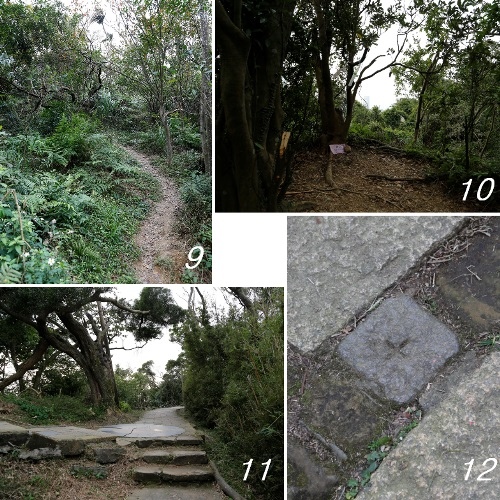 台北．信義區 四獸山.jpg
