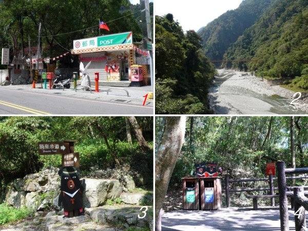 谷關 捎來步道 amp; 五葉松神木.jpg