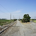 台糖 馬公厝線(1).jpg